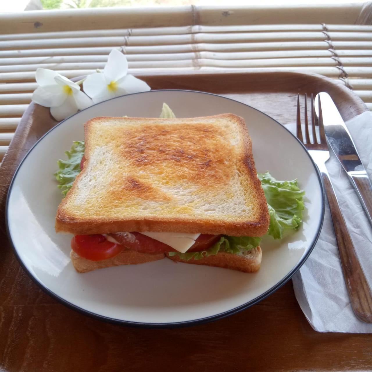 סקוטונג Alden Beach House מראה חיצוני תמונה